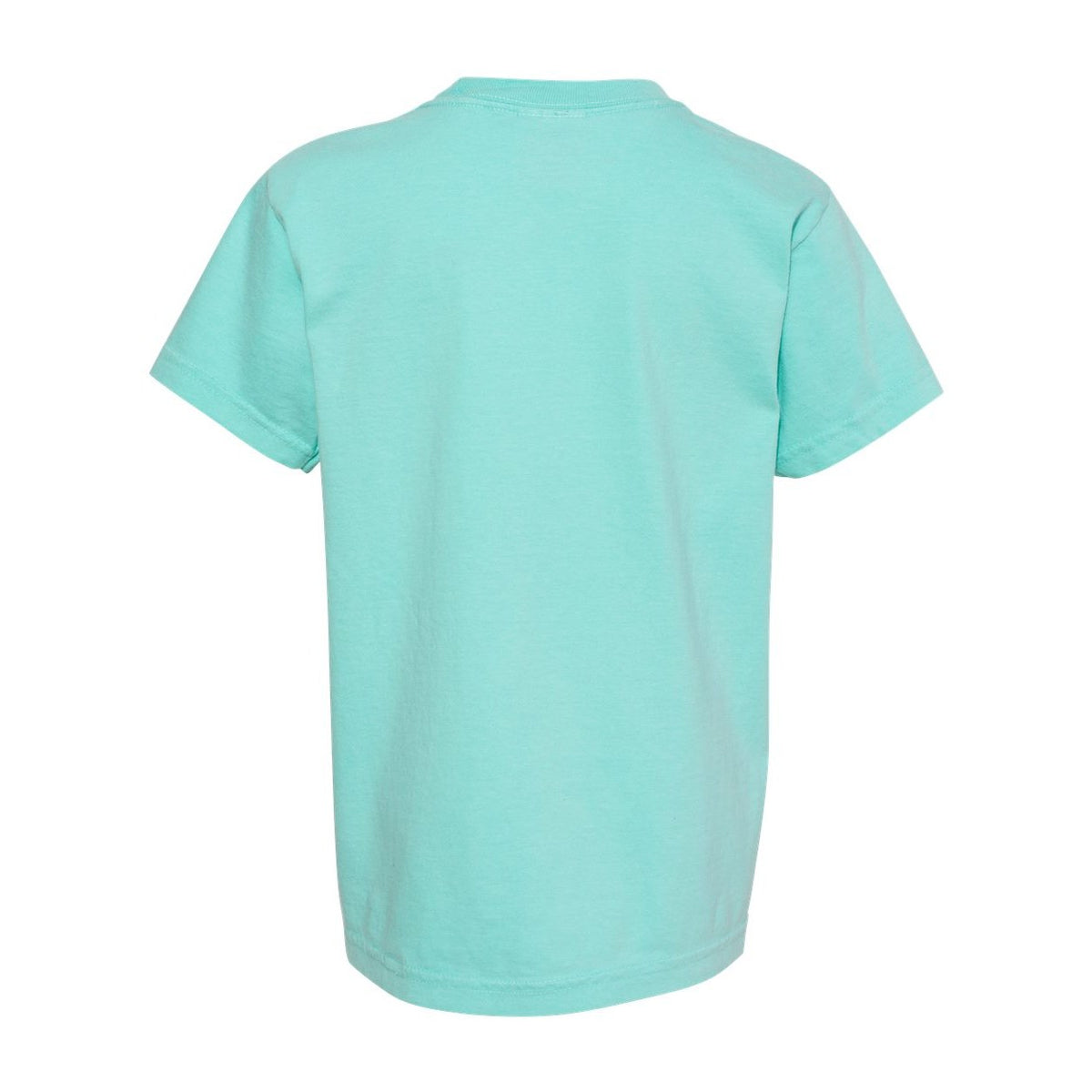Comfort Colors Youth Garment-Dyed Heavyweight T-Shirt - Chalky Mint - Back