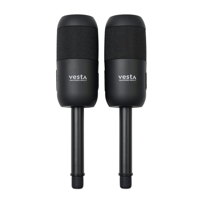 iLive Outdoor Bluetooth Stake Speakers, Set of 2