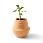 Modern Sprout Glazed Terracotta Grow Kit, Bonsai Laser Engraving - Terracotta - View 1