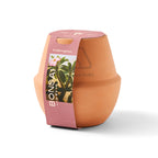Modern Sprout Glazed Terracotta Grow Kit, Bonsai Laser Engraving - Terracotta - View 4