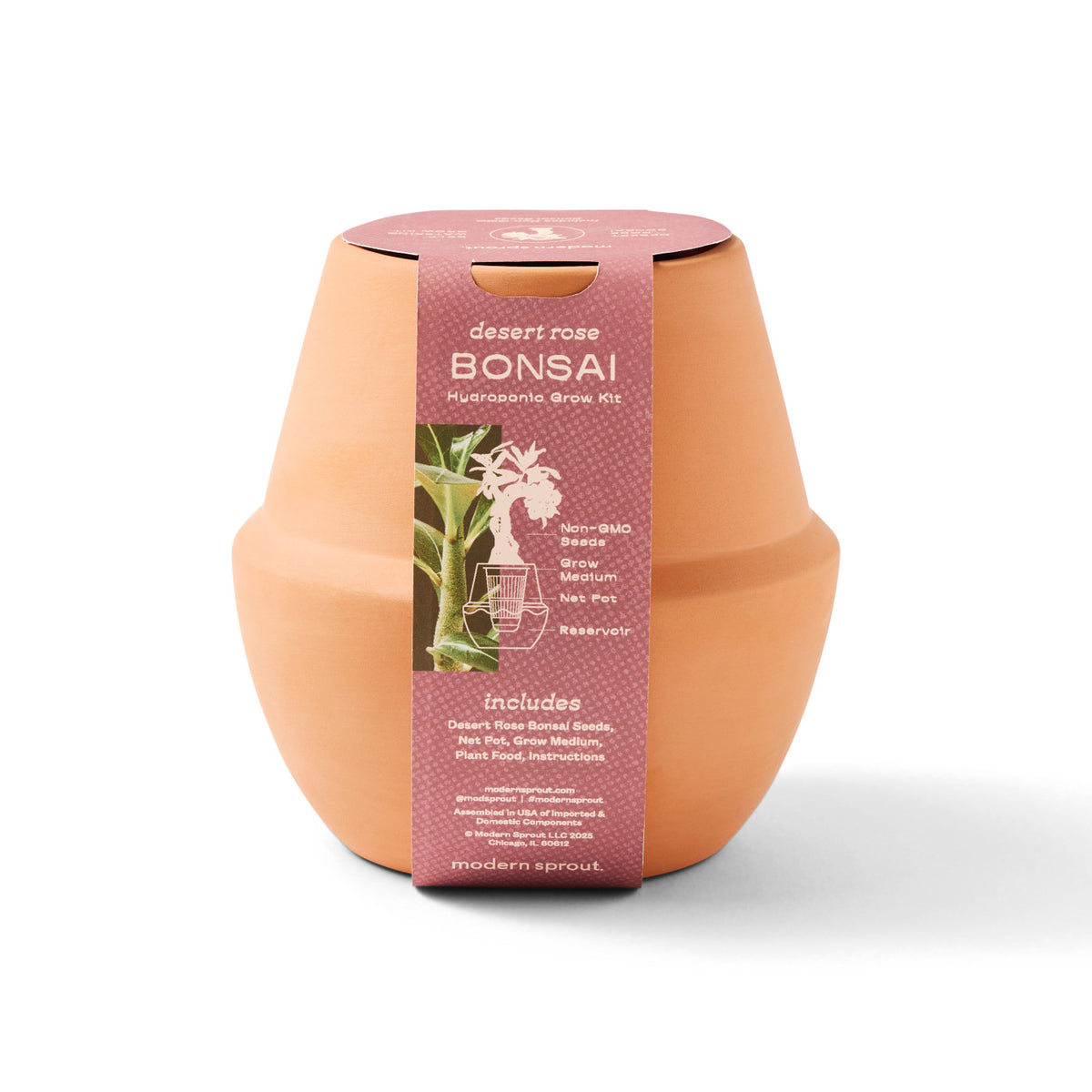 Modern Sprout Glazed Terracotta Grow Kit, Bonsai Laser Engraving - Terracotta - View 5