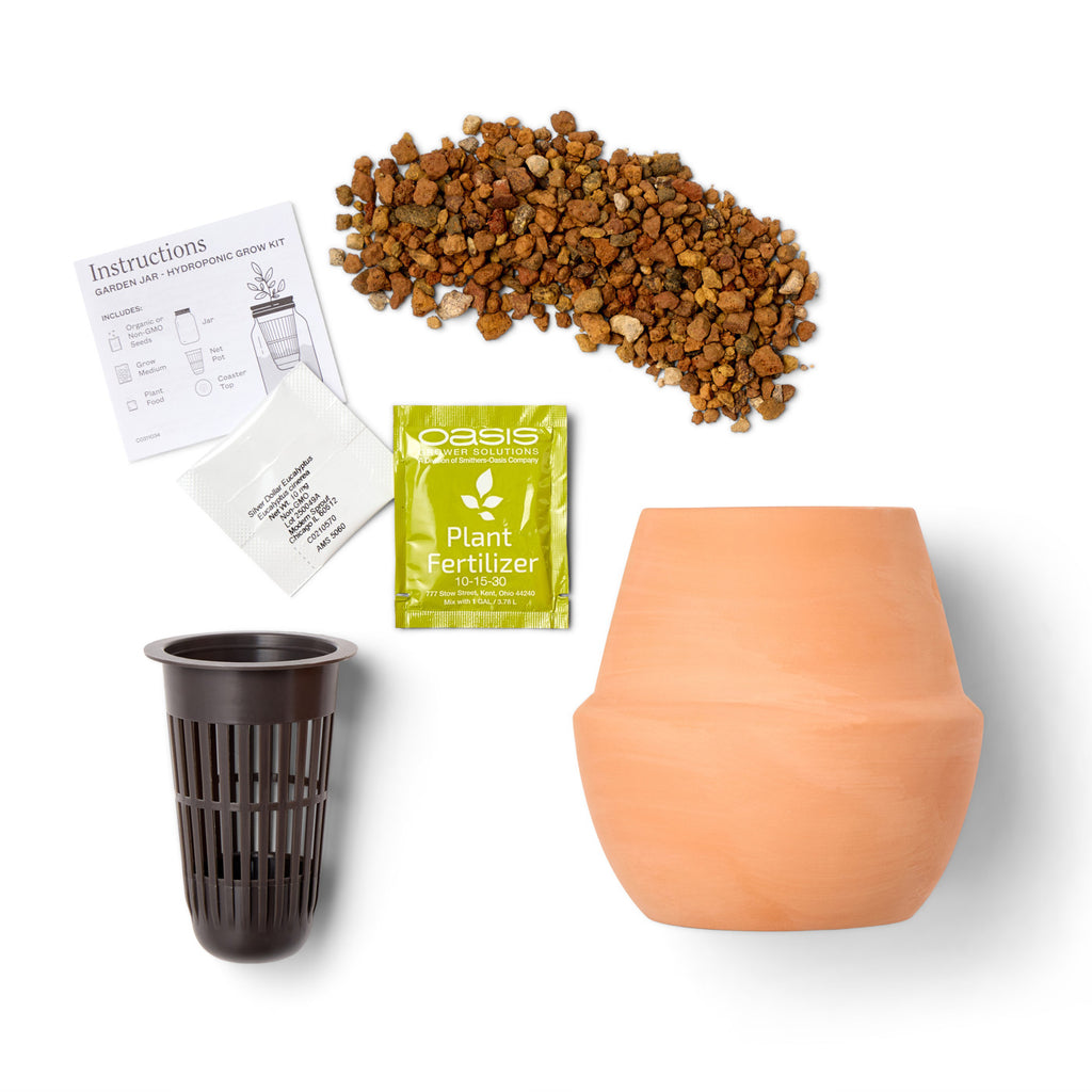 Modern Sprout Glazed Terracotta Grow Kit, Bonsai Laser Engraving - Terracotta - View 6