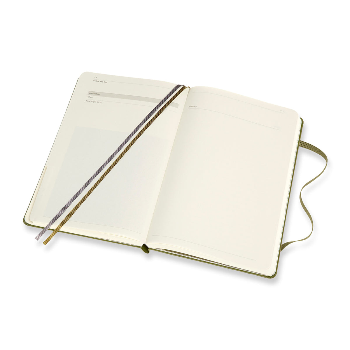 Moleskine Passion Journal, Travel Full Color - Elm Green - View 9