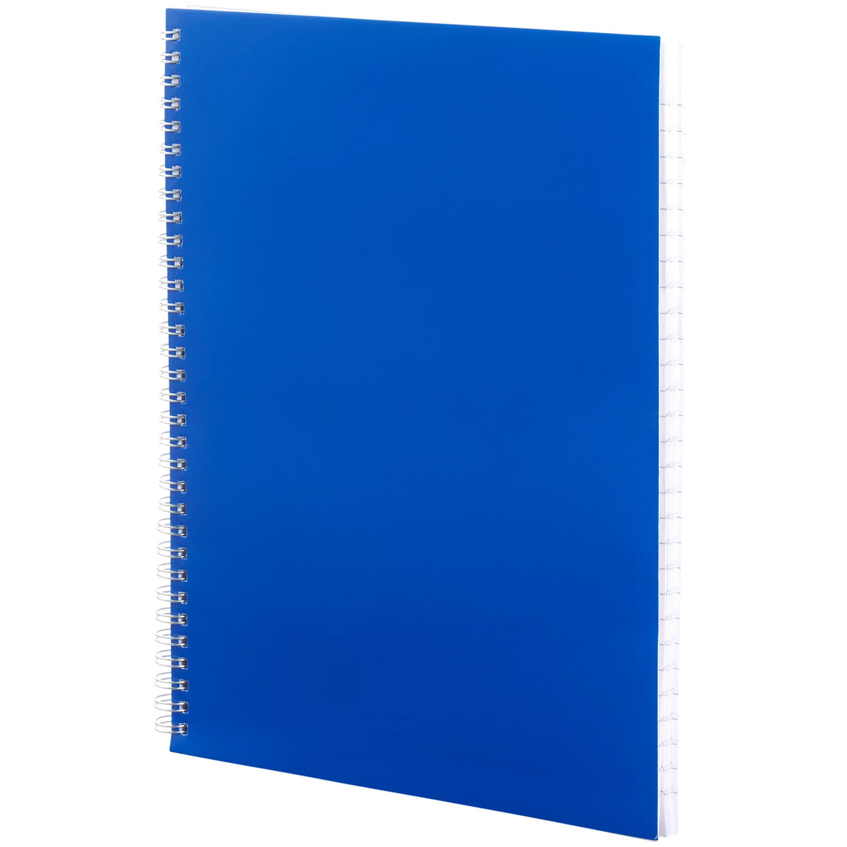 Remark One Subject Notebook, 8.5 x 11 Inches - Blue - Left Angle 2